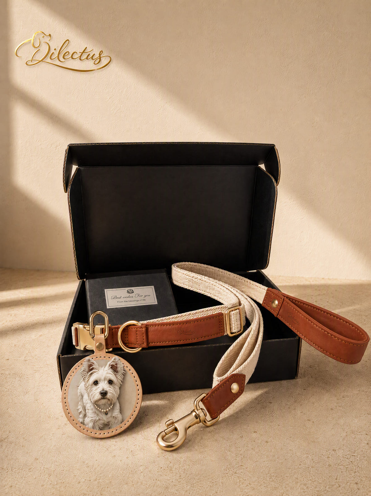 Matching leather and woven ribbon lead from the customized pet set