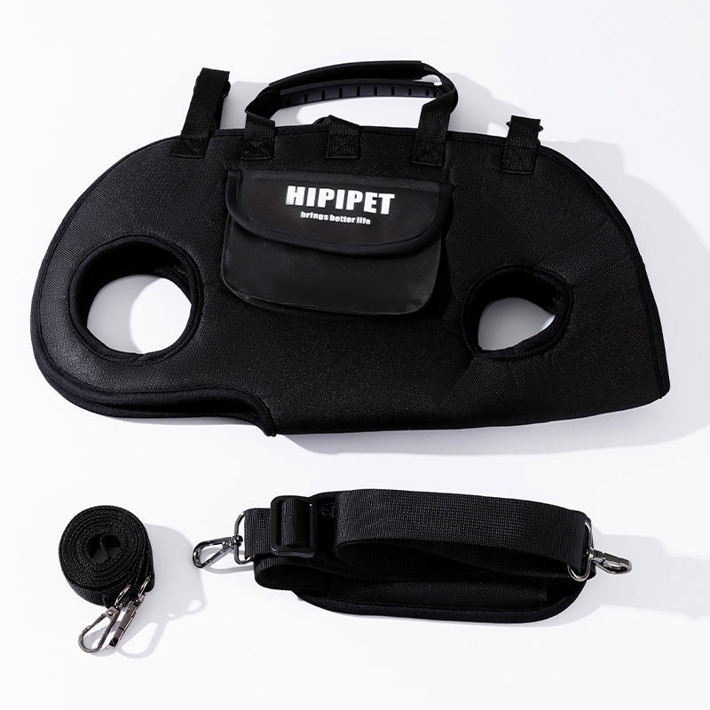 The Voyager · Harness, Pack & Leash — One System. Every Walk.